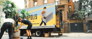 Movers load boxes and a potted plant into a moving van