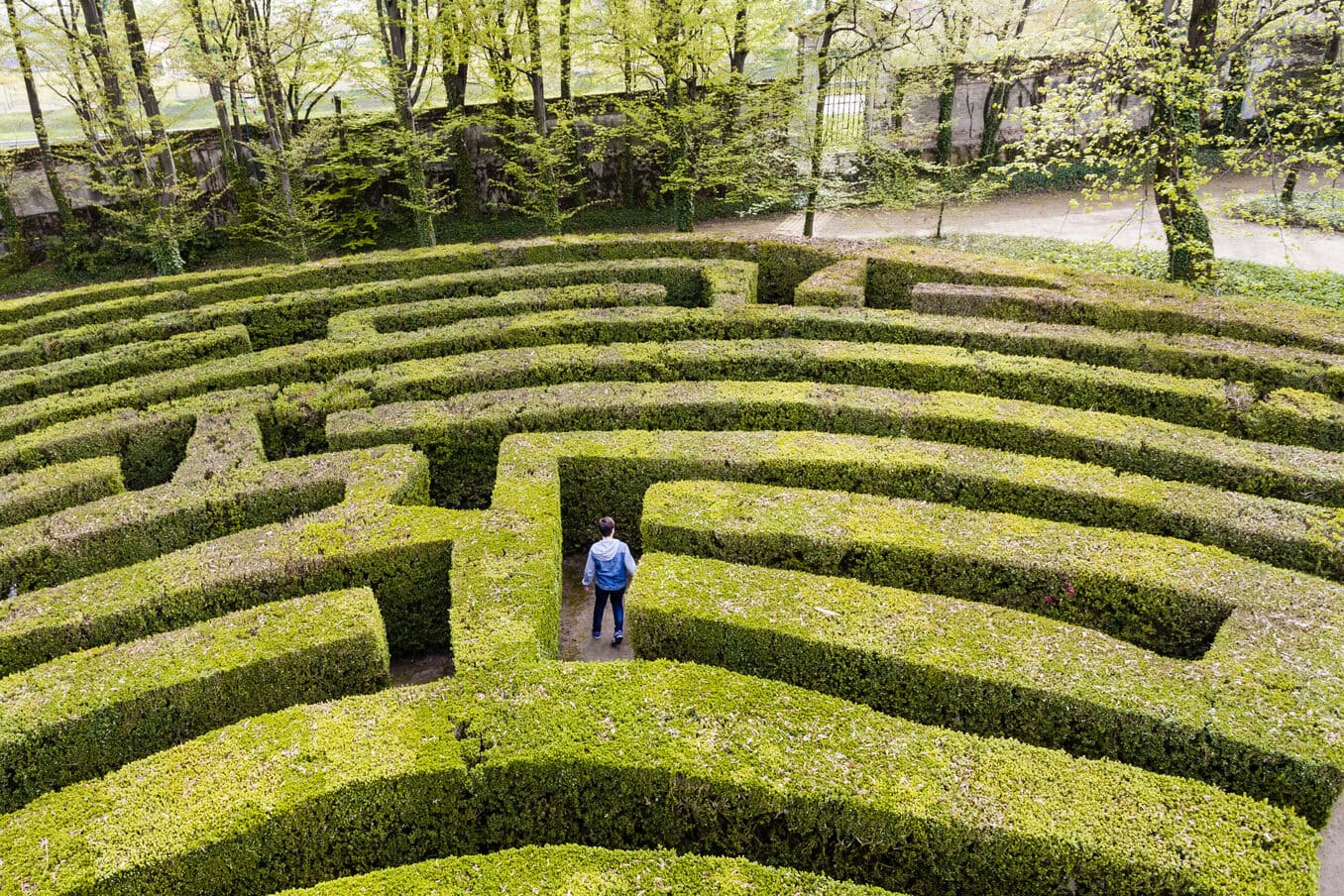 A young boy wandering around in a green maze