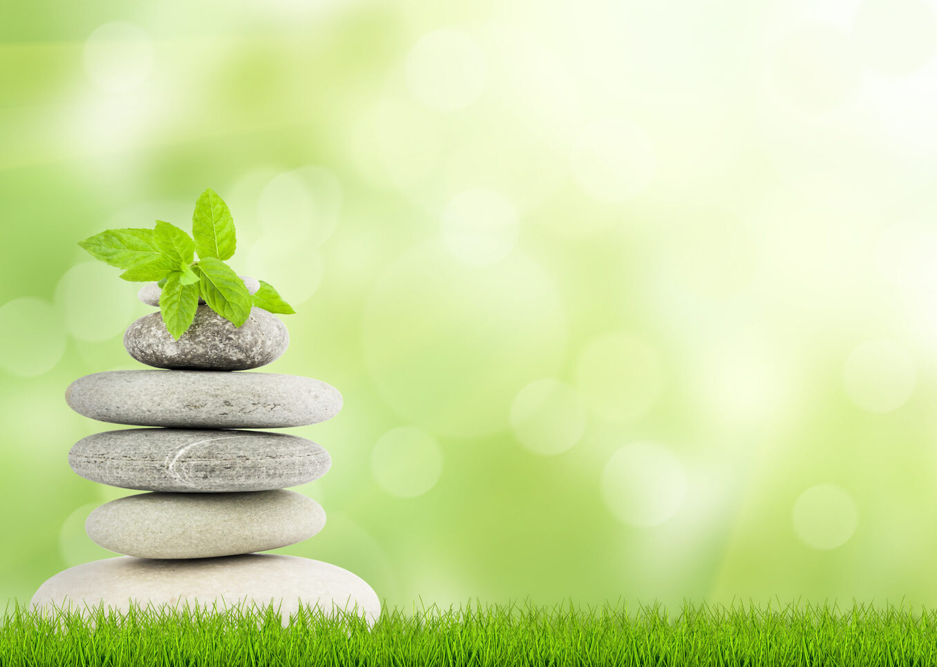 Green grass with stones, natural background with selective focus