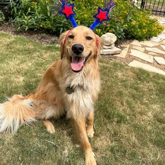 Leeann Cornes lifestyle photo