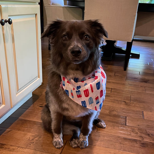 Melissa Lindsey Lifestyle Photo