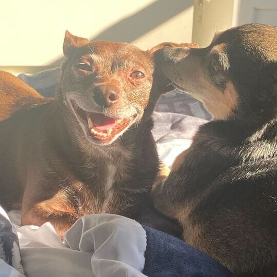 Jen Koch Lifestyle Photo