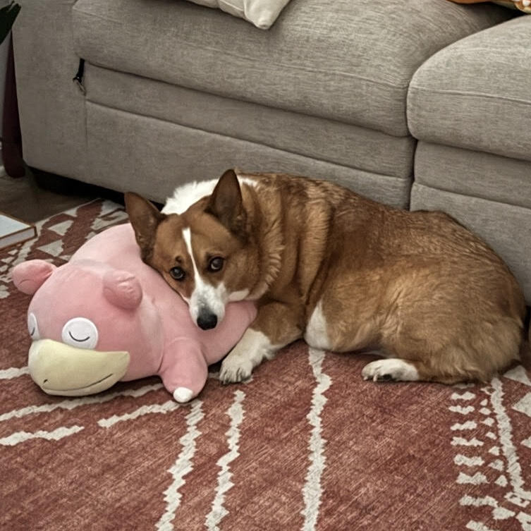 Lucas Pelletier: Rupert and Slowpoke