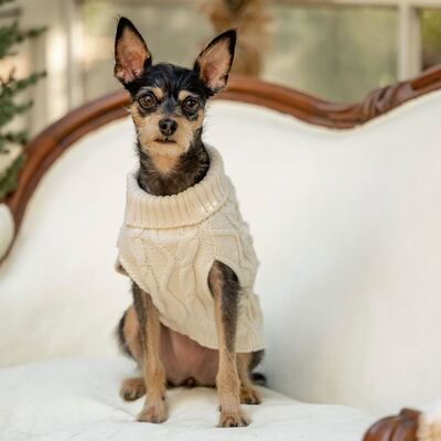 Dogs of Facet