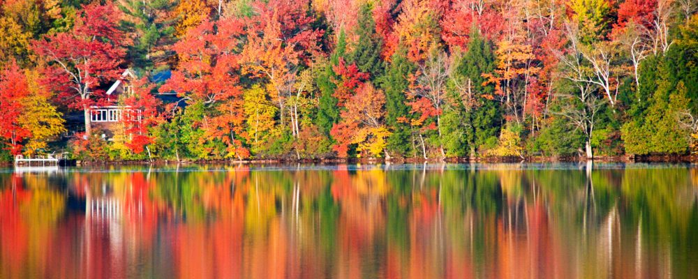 New,England,Peak,Fall,Foliage,Season.,Leaf,Peeping,In,New