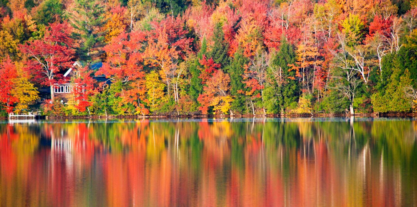 New,England,Peak,Fall,Foliage,Season.,Leaf,Peeping,In,New