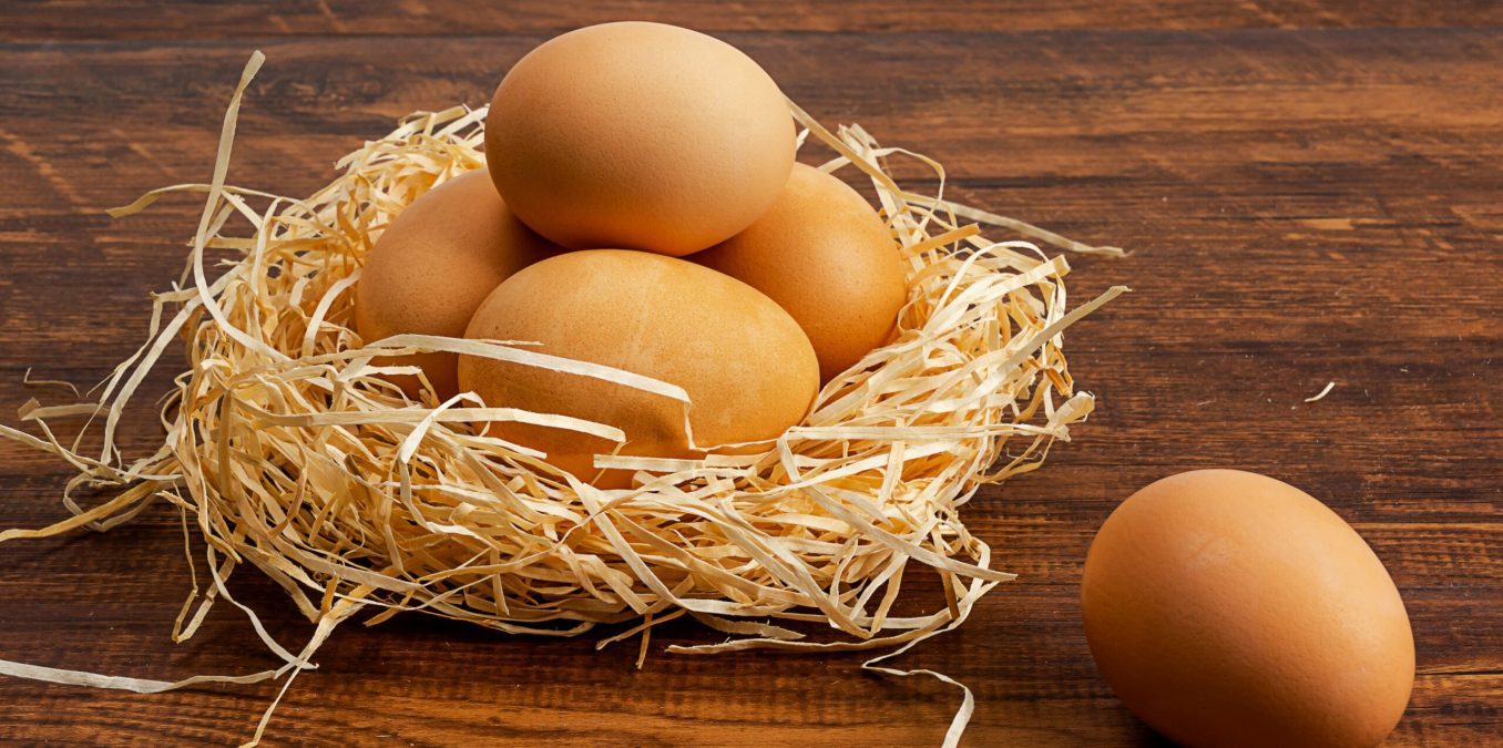 Photographic,Images,Of,Primitive,Soil,Eggs