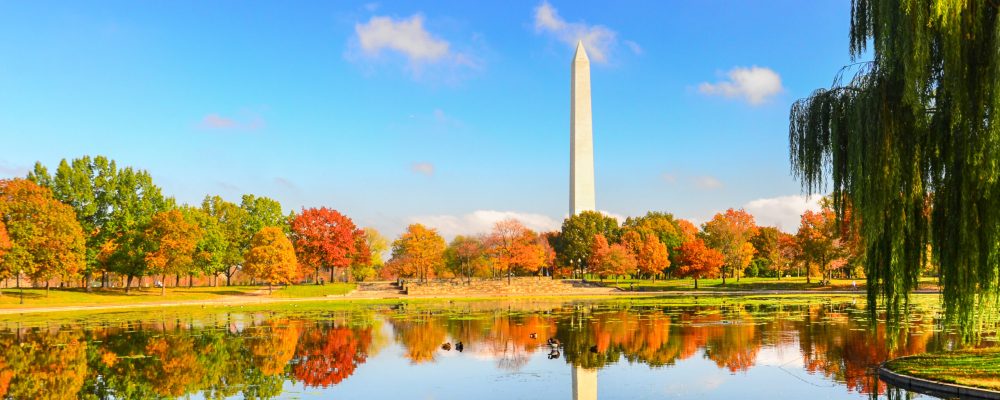 Washington,Dc,-,Washington,Monument,As,Seen,From,Constitution,Gardens