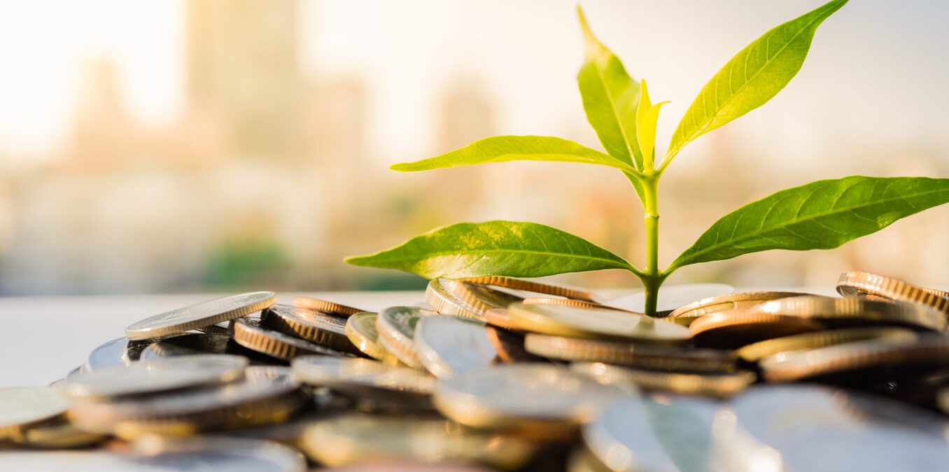 Financial growth plant on pile coins with cityscape background