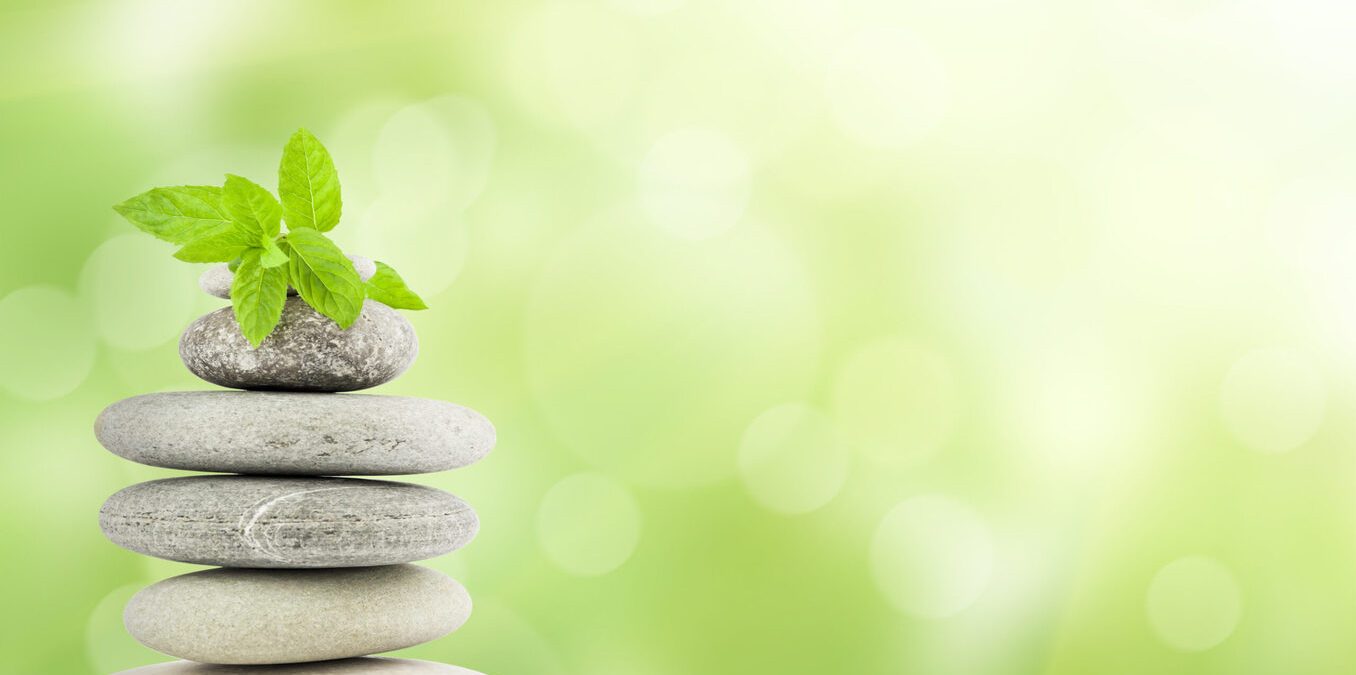 Green grass with stones, natural background with selective focus
