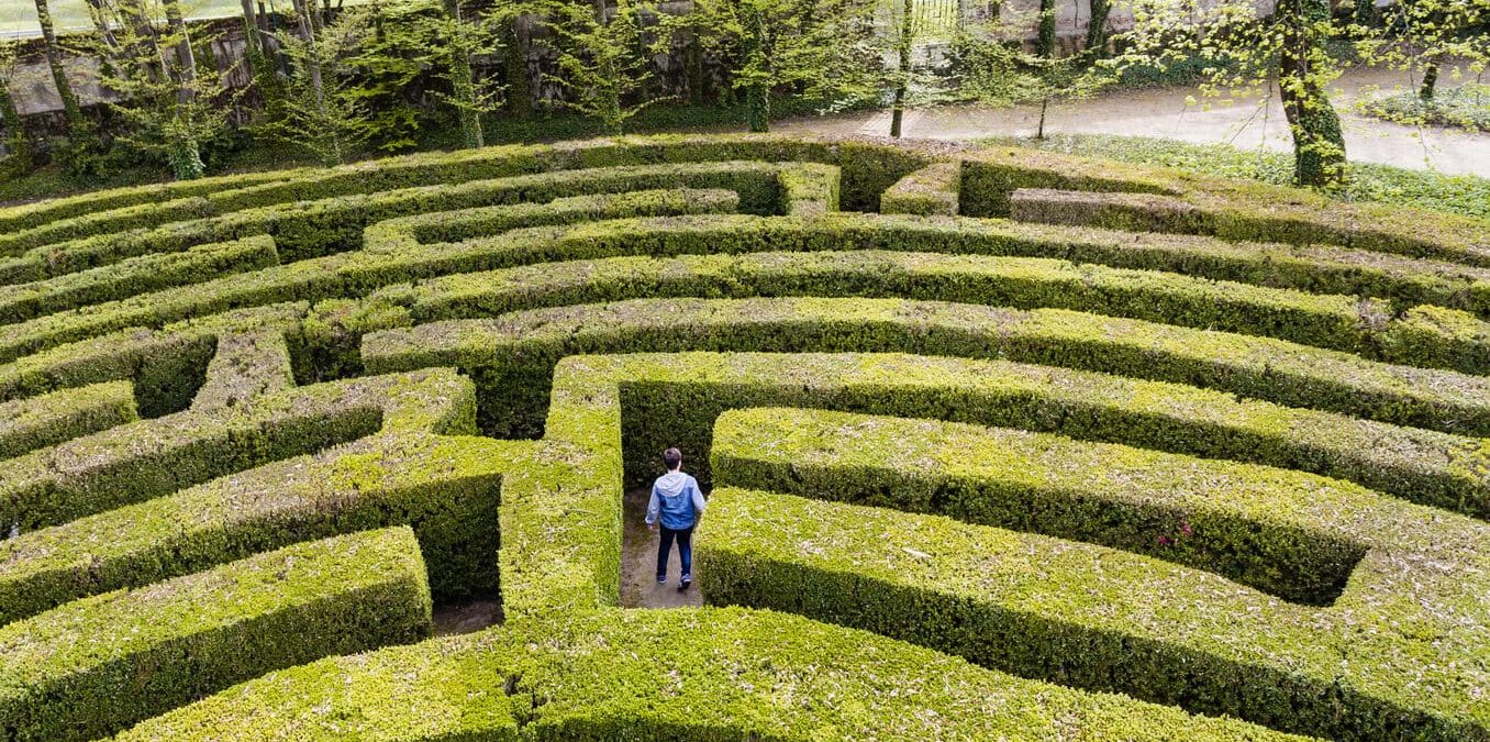 A young boy wandering around in a green maze