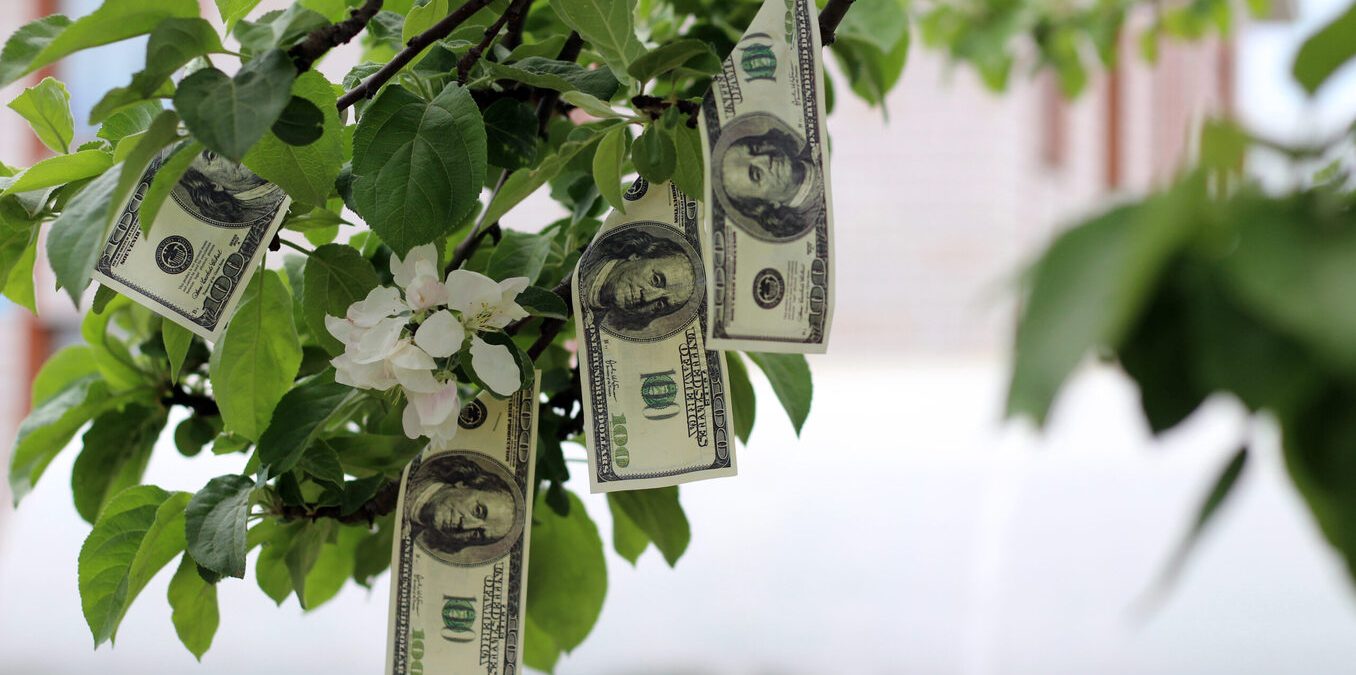 Money growing on tree