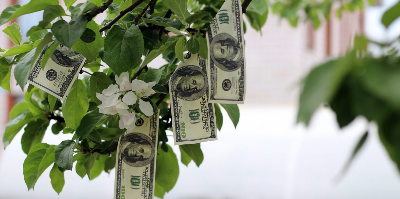 money growing on tree with bright green leaves
