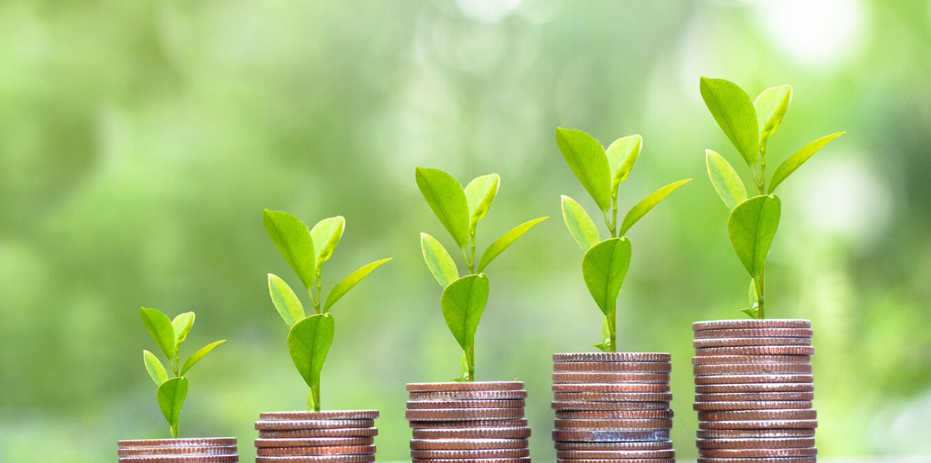 Step of money coins stacks