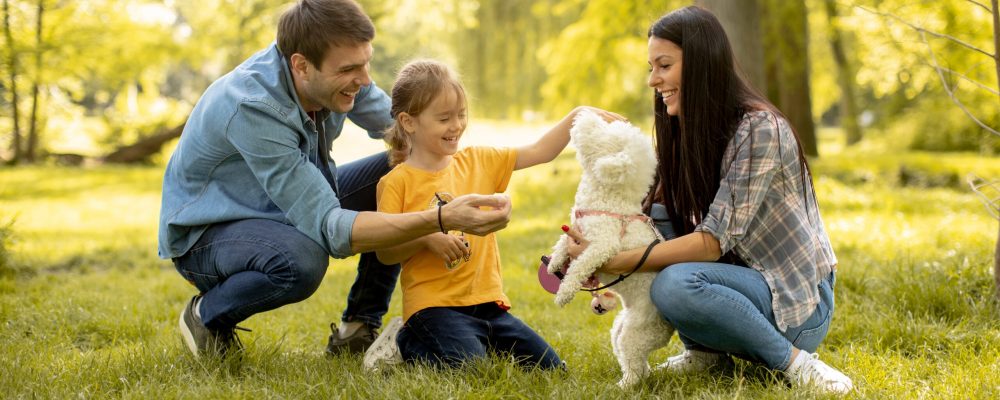 Happy,Young,Family,With,Cute,Bichon,Dog,In,The,Park