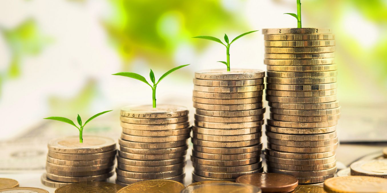 Step,Of,Golden,Coins,Stacks,On,Table,With,Tree,Growing