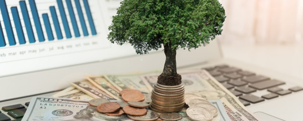 Investment,Concept.,Tree,Grow,Up,On,Money,Stack,With,Investment