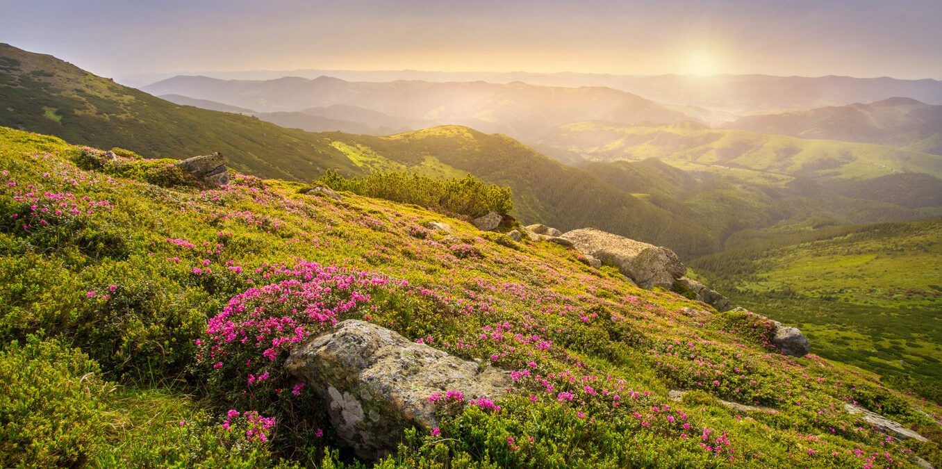 Picturesque view from top of a mountain